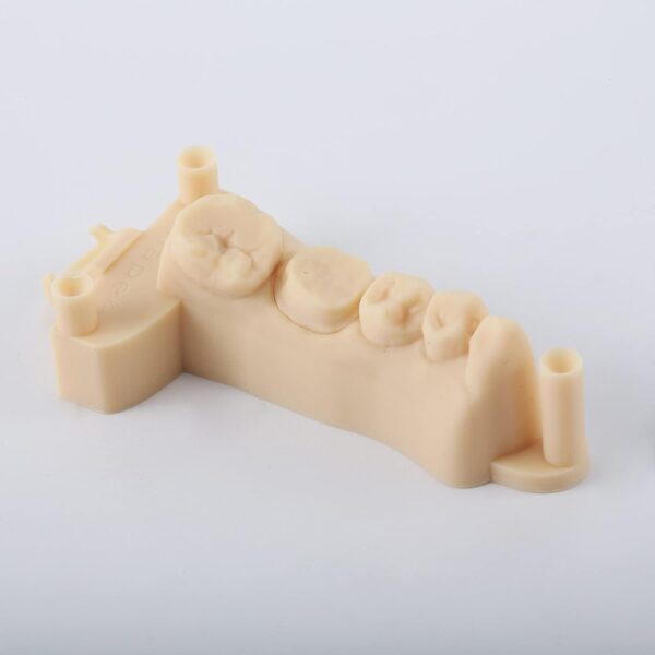 RESIONE 3D Printer Resin, D01S Dental Model Resin for Restoration Implant Study Models High Dimensional Accuracy with Not Warped and Very Low Shrinkage for LCD DLP MSLA 3D Printing - Image 3