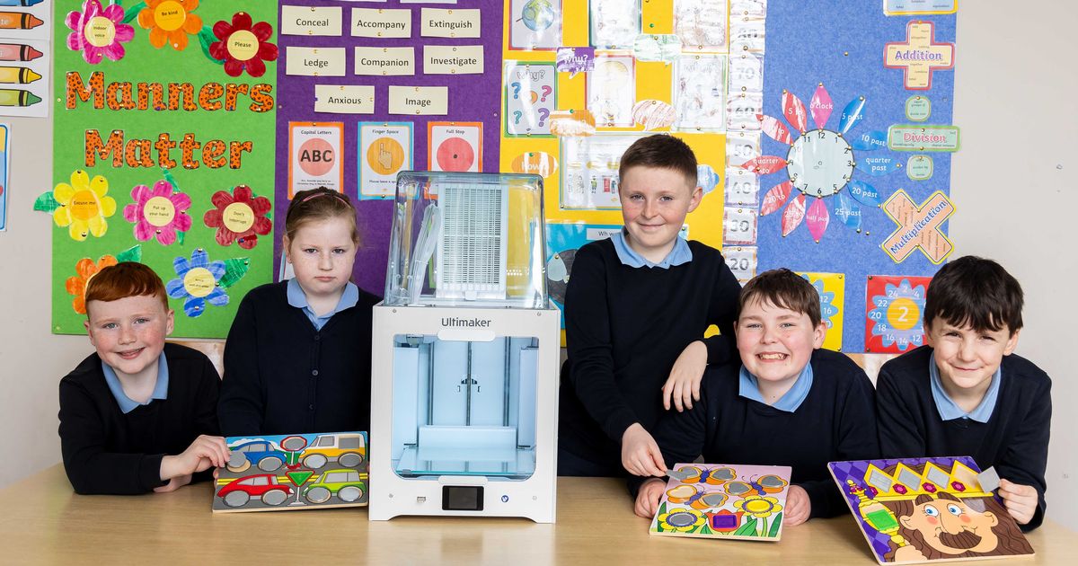 Cork primary school students are using a high-tech 3D printer to repair old puzzles