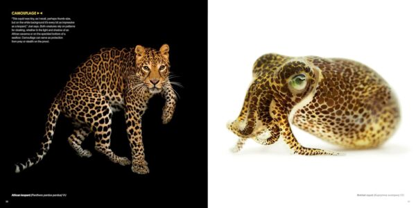 National Geographic The Photo Ark: One Man's Quest to Document the World's Animals - Image 3